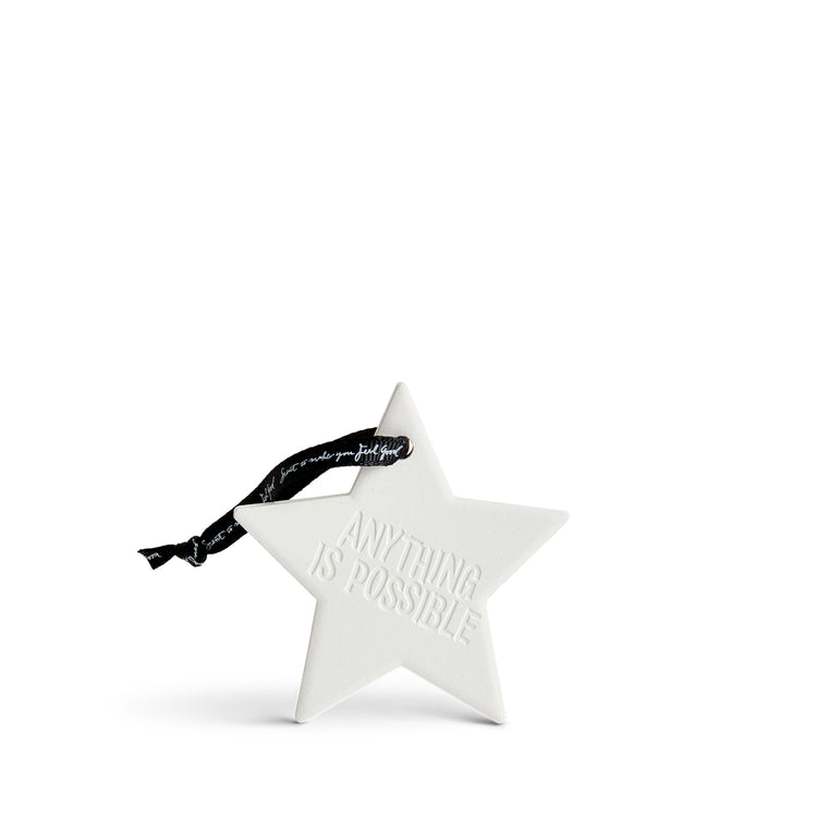 Catch A Shooting Star Ceramic Natural Diffuser